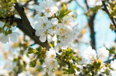 Boundaries Burnout and the Body 金刚国际官方趣投游戏平台 Writing Course