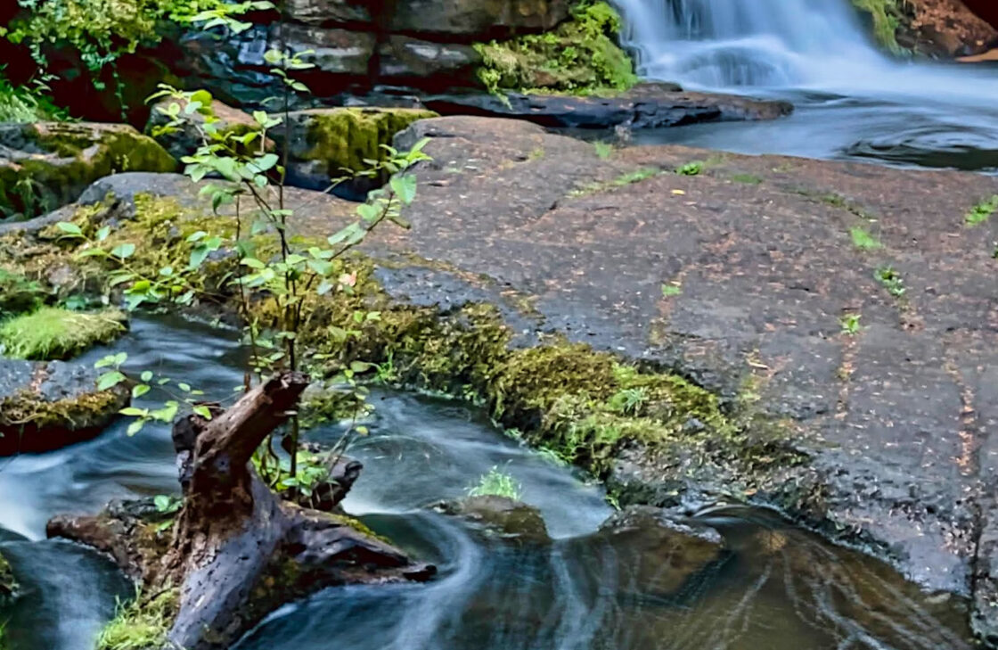 Find Your Poetic Wellspring: Writing the Poems that Matter