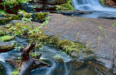 Find Your Poetic Wellspring: Writing the Poems that Matter