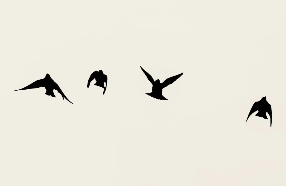 Four poetic temperaments writing course