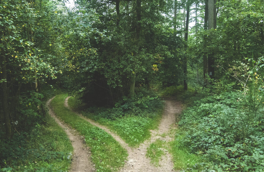 roads to revelation essay writing course