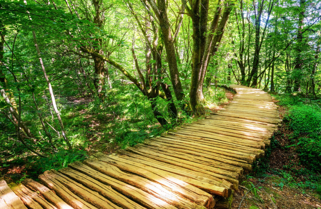 Writing Your Life's Stories Memoir Writing Course