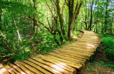 金刚国际官方趣投游戏平台 Writing Your Life's Stories Memoir 金刚国际官方趣投游戏平台 Writing Course